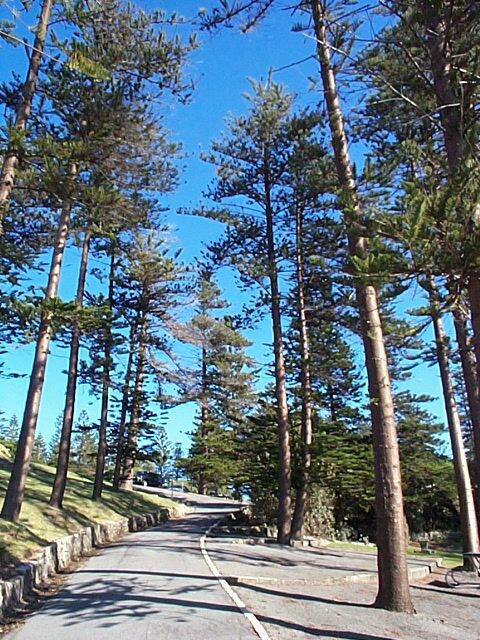 location_newcastle_king-edward-park-1.jpg
