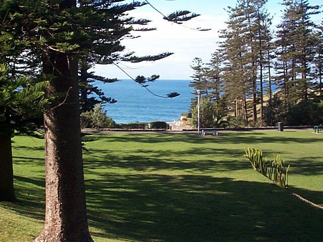 location_newcastle_king-edward-park-4.jpg