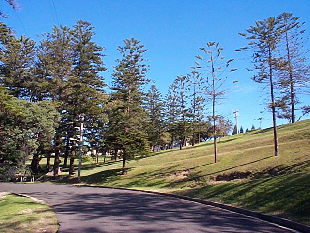 location_newcastle_king-edward-park-5.jpg