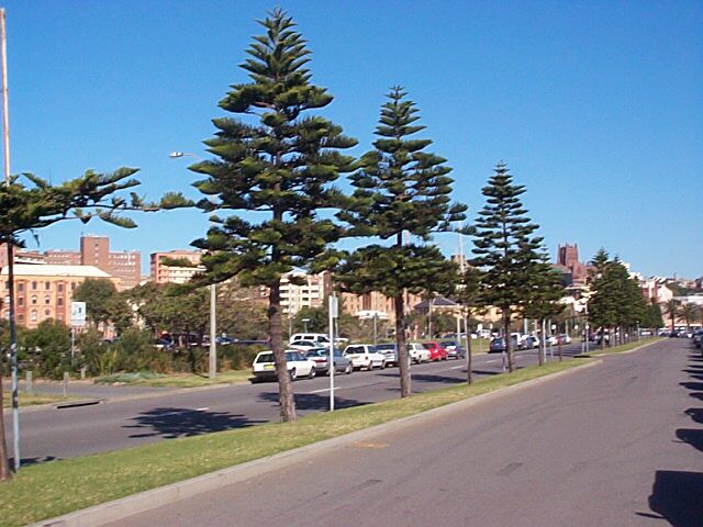 location_newcastle_the-foreshore-1.jpg