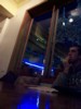 location_barking-frog-cafe_inside-looking-out.jpg