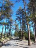 location_newcastle_king-edward-park-1.jpg