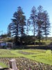 location_newcastle_king-edward-park-2.jpg