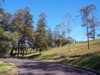 location_newcastle_king-edward-park-5.jpg