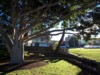 location_balmoral_foreshore-3.jpg