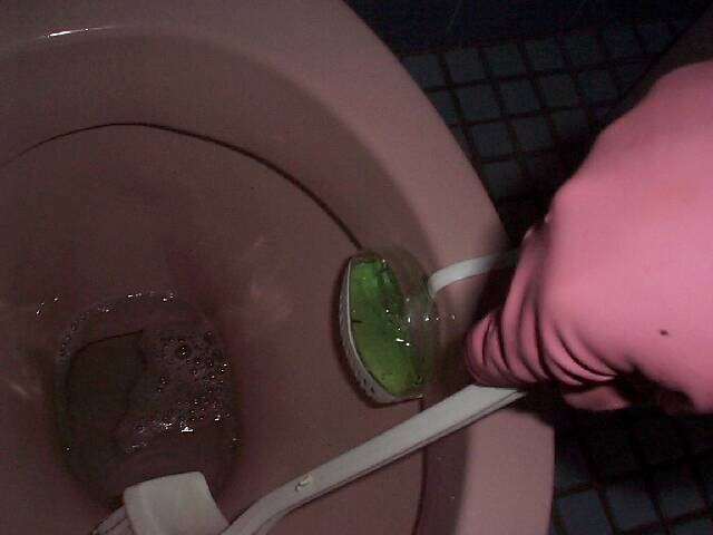 other_bathroom-blitz_3-dunny-scrub.jpg