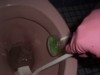 other_bathroom-blitz_3-dunny-scrub.jpg