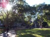 location_sydney-cbd_hyde-park-3.jpg