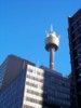 location_sydney-cbd_sydney-tower-from-elizabeth-st.jpg