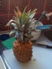 other_cooking_the-pineaplle-brekky-1.jpg
