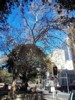 location_sydney-cbd_elizabeth-street-1.jpg